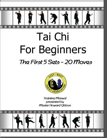 Tai Chi Book For Beginners - Howard Gibbon