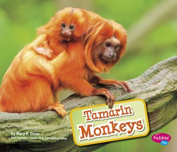 Tamarin Monkeys - Gail Saunders-Smith - Mary R. Dunn