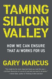 Taming Silicon Valley