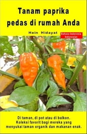 Tanam paprika pedas di rumah Anda. Di taman, di pot atau di balkon