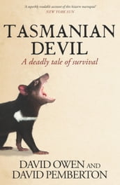 Tasmanian Devil