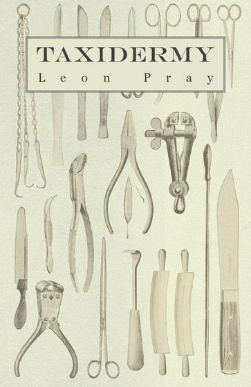 Taxidermy - Leon Pray