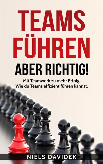 Teams Führen  aber Richtig!: Mit Teamwork zu mehr Erfolg. Wie Du Teams Effizient Führen Kannst. - Niels Davidek
