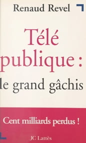 Télé publique : le grand gâchis