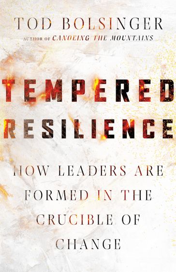 Tempered Resilience - Tod Bolsinger