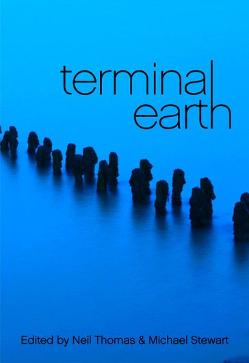 Terminal Earth - Desmond Warzel