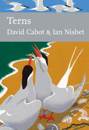 Terns (Collins New Naturalist Library, Book 123) - David Cabot - Ian Nisbet