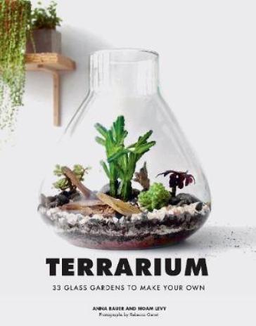 Terrarium - Anna Bauer - Noan Levy