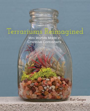 Terrariums Reimagined - Kat Geiger