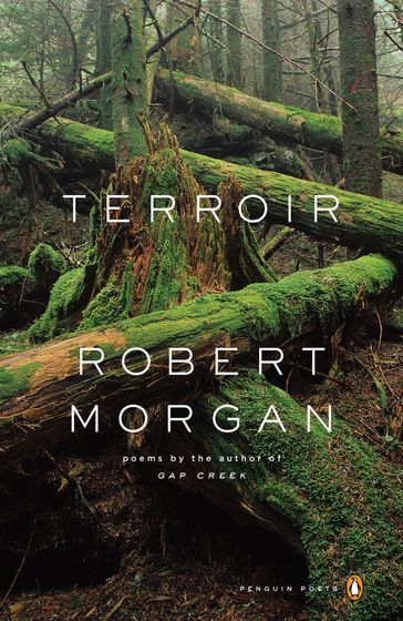Terroir - Robert Morgan