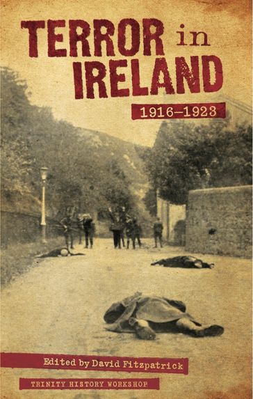 Terror in Ireland 1916-1923 - David Fitzpatrick