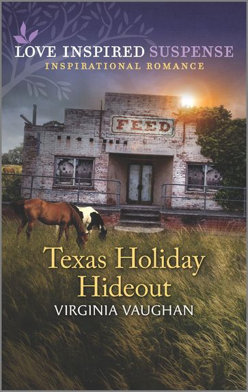 Texas Holiday Hideout - Virginia Vaughan