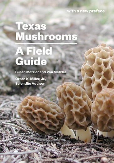 Texas Mushrooms - Susan Metzler - Van Metzler