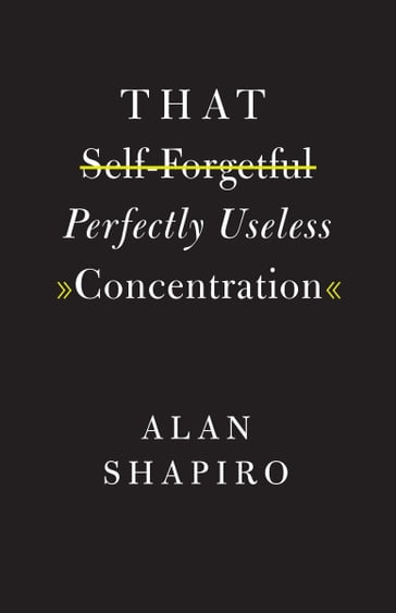 That Self-Forgetful Perfectly Useless Concentration - Alan Shapiro