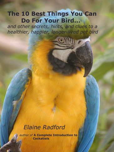 The 10 Best Things You Can Do For Your Bird - Elaine Radford