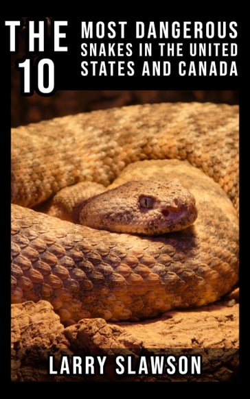 The 10 Most Dangerous Snakes in the United States and Canada - Larry Slawson