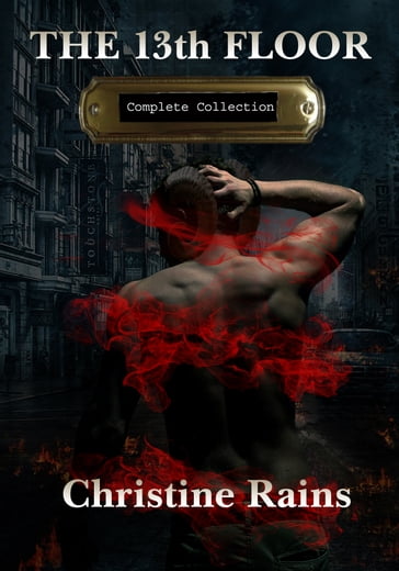 The 13th Floor Complete Collection - Christine Rains