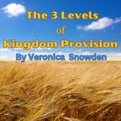 The 3 Levels of Kingdom Provision