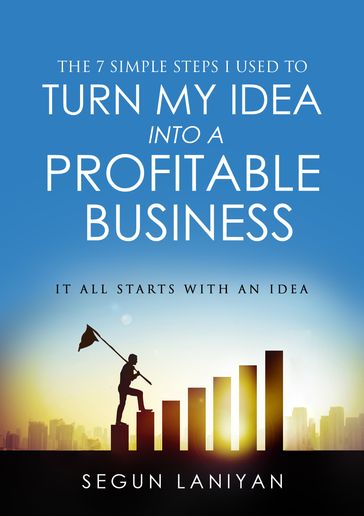 The 7 Simple Steps I Used To Turn My Idea into a Profitable Business - Segun Laniyan