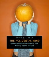 The Accidental Mind