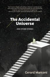 The Accidental Universe and Other Stories