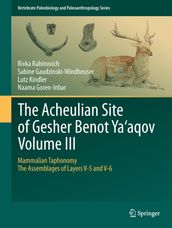 The Acheulian Site of Gesher Benot Ya aqov Volume III