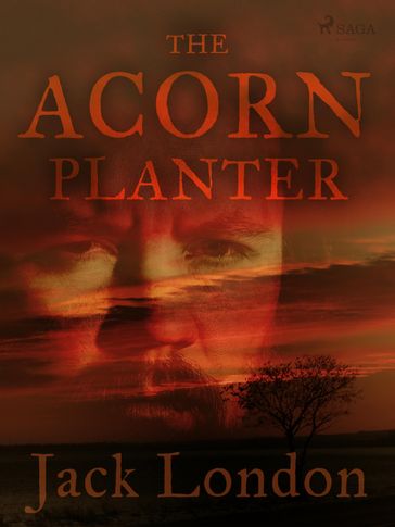 The Acorn Planter - Jack London
