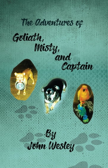 The Adventures of Goliath, Misty, and Captain - John Wesley