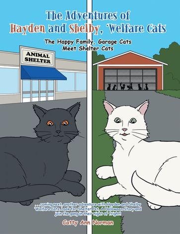 The Adventures of Hayden and Shelby, 'Welfare Cats - Catty Ann Norman