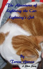 The Adventures of Lightning the Cat: Lightning s Job