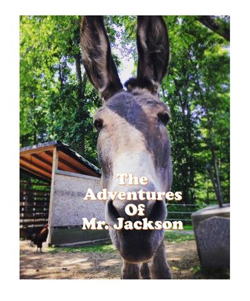 The Adventures of Mr. Jackson - William Milliner