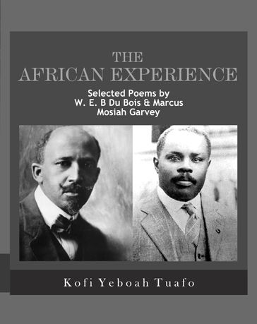 The African Experience - Kofi Yeboah Tuafo