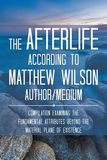 The Afterlife According to Matthew Wilson Author/Medium - Matthew Wilson