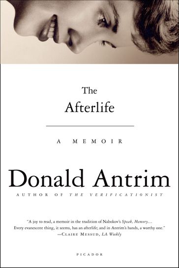 The Afterlife - Donald Antrim