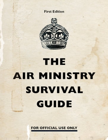 The Air Ministry Survival Guide - Penguin Books LTD