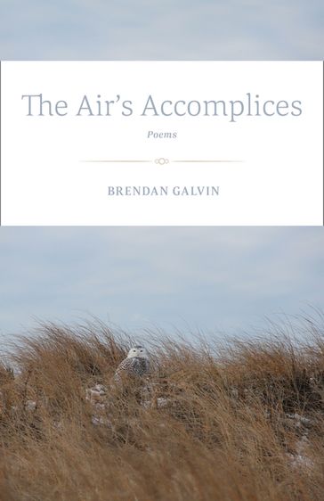 The Air's Accomplices - Brendan Galvin