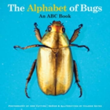 The Alphabet of Bugs - Valerie Gates