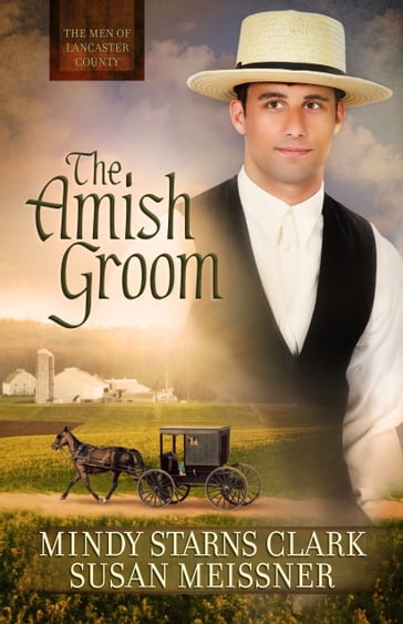 The Amish Groom - Mindy Starns Clark - Susan Meissner