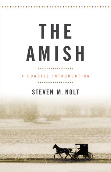 The Amish - Steven M. Nolt