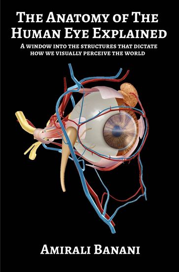 The Anatomy of The Human Eye Explained - Amirali Banani