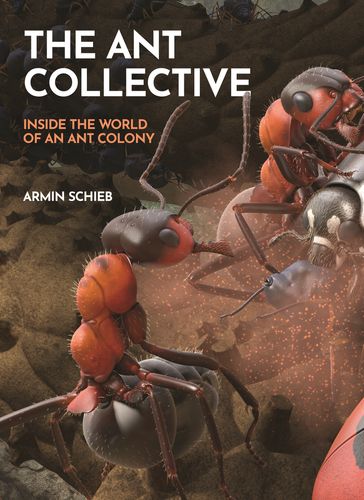 The Ant Collective - Armin Schieb