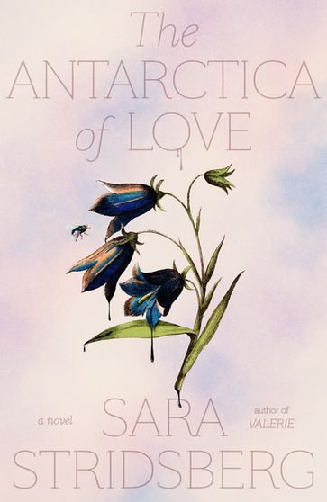 The Antarctica of Love - Sara Stridsberg
