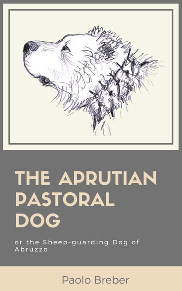 The Aprutian Pastoral Dog - Paolo Breber