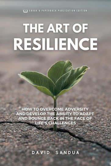 The Art Of ResiIience - David Sandua