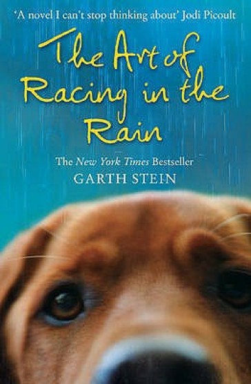 The Art of Racing in the Rain - Garth Stein