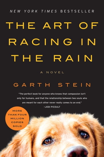 The Art of Racing in the Rain - Garth Stein