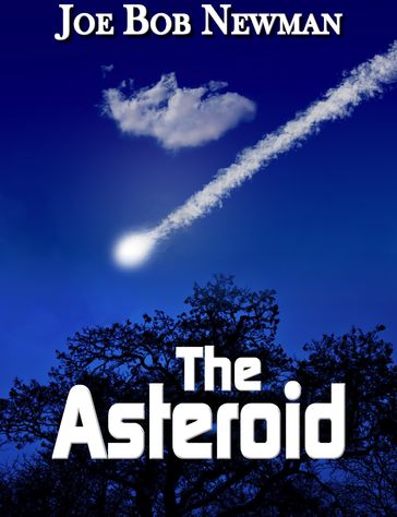 The Asteroid - Joe Bob Newman