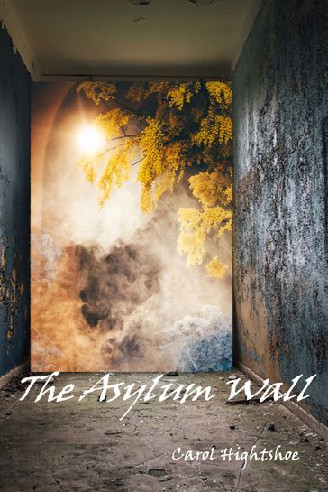 The Asylum Wall - Carol Hightshoe