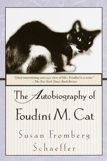The Autobiography of Foudini M. Cat - Susan Fromberg Schaeffer