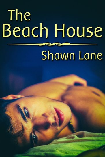 The Beach House - Shawn Lane